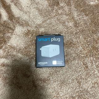 エコー(ECHO)のamazon smart plug(その他)