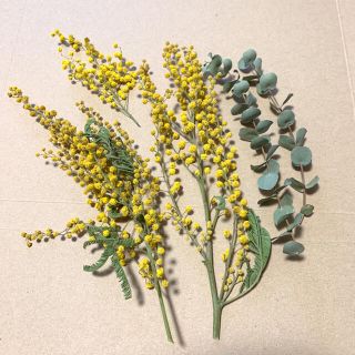 ドライフラワー ミモザ ユーカリ 茎付き 花材 インテリア(各種パーツ)