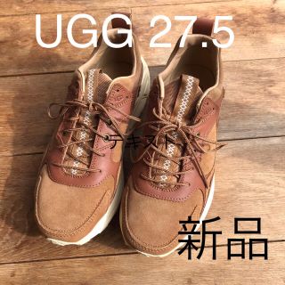 アグ(UGG)の新品　UGG Miwo Trainer Low スニーカー　ブラウン(スニーカー)