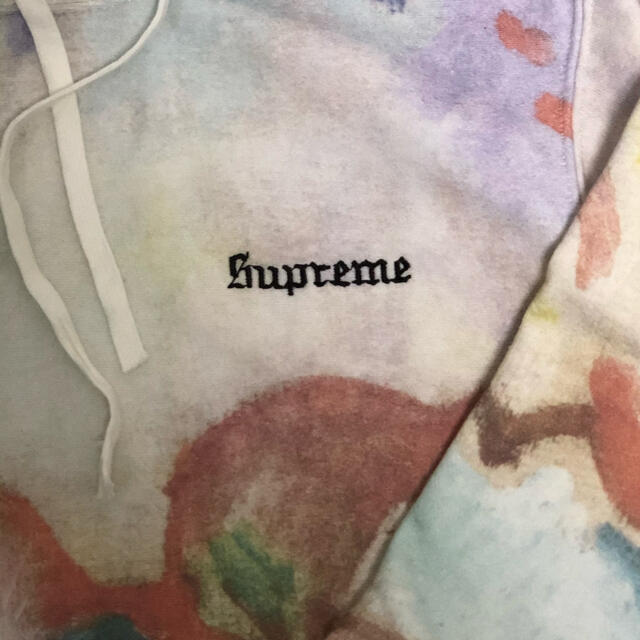 Supreme(シュプリーム)のSupreme 18ss Landscape Hooded Sweatshirt メンズのトップス(パーカー)の商品写真