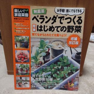 無農薬ベランダでつくる簡単はじめての野菜 増補改訂版(趣味/スポーツ/実用)