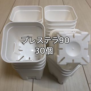 プレステラ90 白 30個(プランター)