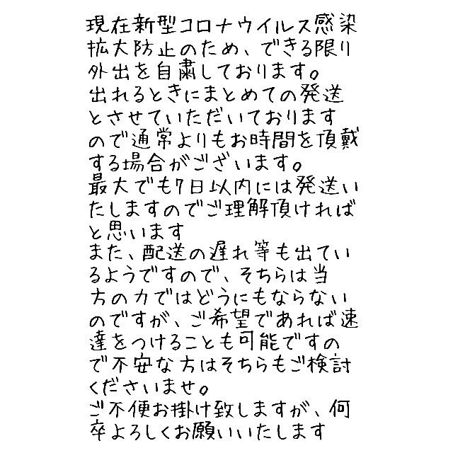 ほろ酔い美人 葉挿し 発根芽済み １枚 多肉植物