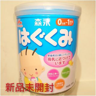 モリナガニュウギョウ(森永乳業)の【新品未開封】森永ミルク　はぐくみ300グラム(その他)