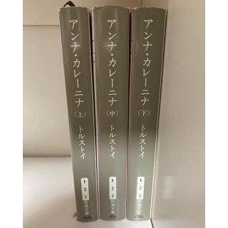 アンナ・カレーニナ　全巻セット　ロシア文学　トルストイ(文学/小説)