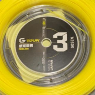 ゴーセン(GOSEN)のオレンジ様専用　G-TOUR3 6m×2本(その他)