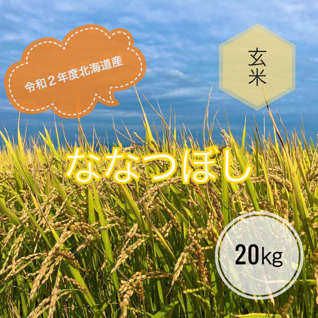 令和2年度北海道産ななつぼし玄米20㎏農家直送　米/穀物