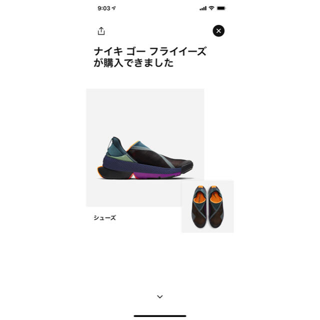 NIKE(ナイキ)のNIKE GO FLYEASE ナイキ ゴーフライイーズ メンズの靴/シューズ(スニーカー)の商品写真