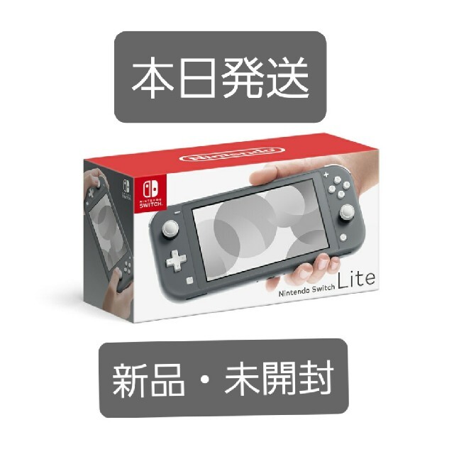 Nintendo Switch Lite　グレー