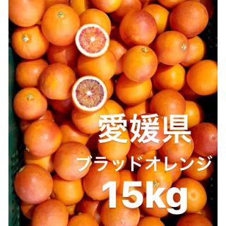 愛媛県　ブラッドオレンジ　15kg(フルーツ)