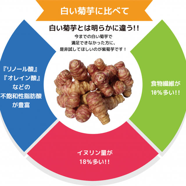 【産直特価】💜新鮮そのもの・無農薬『フランス紫菊芋』〜大阪いずみ産 食品/飲料/酒の食品(野菜)の商品写真