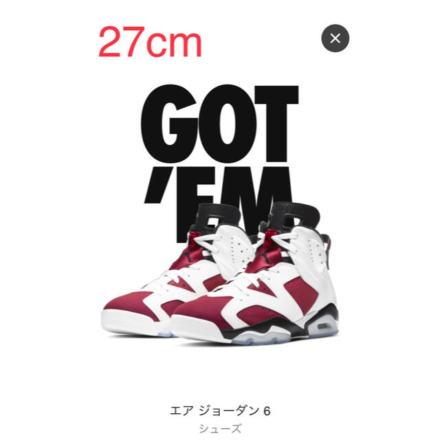 新品!送料込!NIKE AIR Jordan 6 Carmine 27cm‼︎