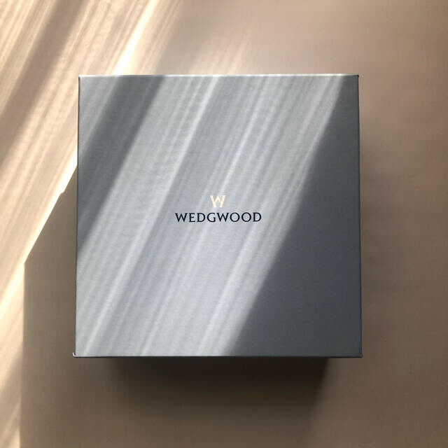 WEDGWOOD(ウェッジウッド)のwedgwood お皿　ボウル　セット 2枚 インテリア/住まい/日用品のキッチン/食器(食器)の商品写真