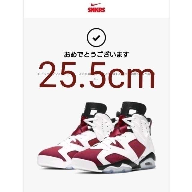 NIKE Air  Jordan6 Carmine エアジョーダン6 カーマイン