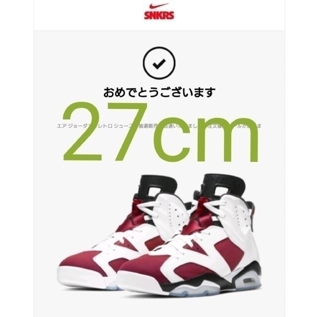 NIKE Air  Jordan6 Carmine エアジョーダン6 カーマイン