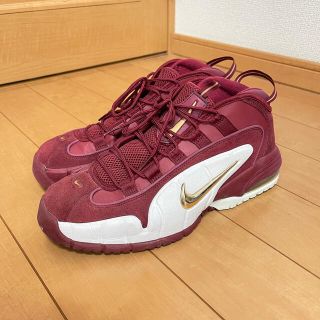 ナイキ(NIKE)のちゃちゃ丸様専用(スニーカー)