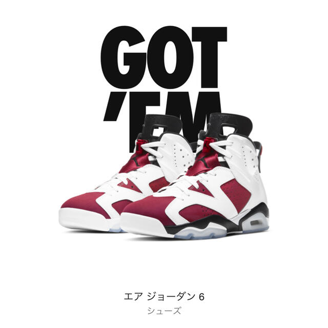 27,0cm AIR JORDAN 6 CARMINE カーマインスニーカー