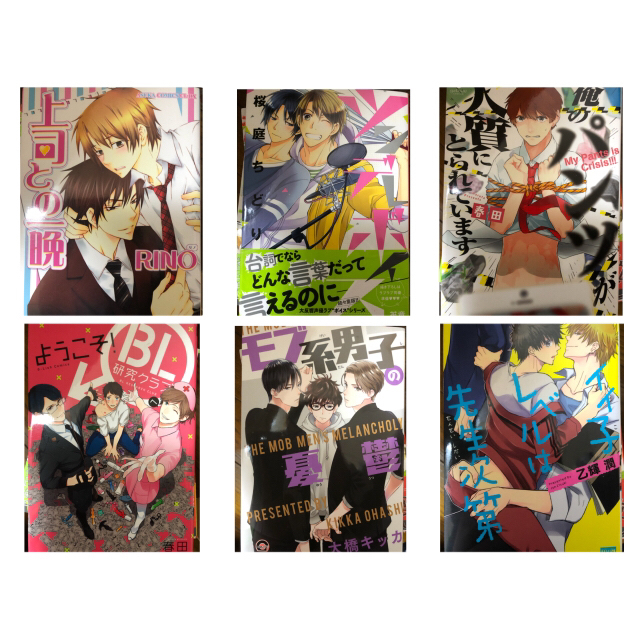 blマンガ まとめ売り バラ売り可(均一250円) blマンガ まとめ売り バラ売り可(均一250円)