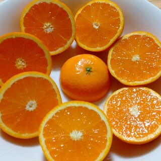 清見オレンジ 和歌山 小玉 10キロ (フルーツ)