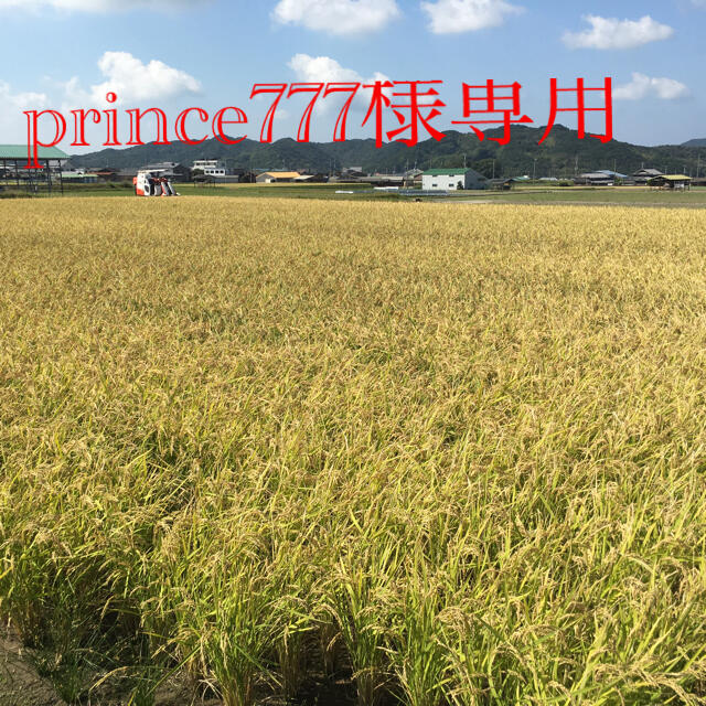 prince777様専用2020年産米キヌムスメ30kg 食品/飲料/酒の食品(米/穀物)の商品写真