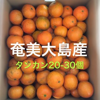 奄美大島産　タンカン(約20-30個)(フルーツ)