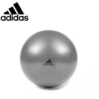 アディダス(adidas)の新品 アディダス バランスボール 55cm グレー(トレーニング用品)