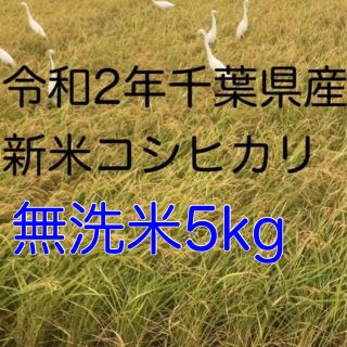 令和2年新米コシヒカリ無洗米5kg(米/穀物)