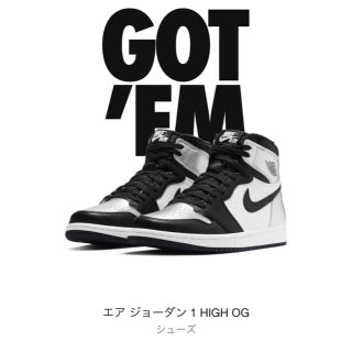 ナイキ(NIKE)のNIKE WMNS AIR JORDAN 1 SILVER TOE(スニーカー)