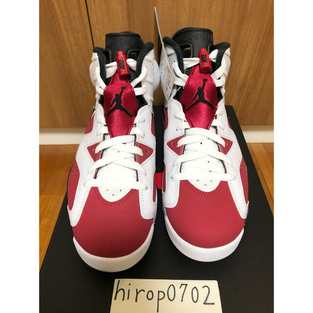 靴/シューズ NIKE AIR JORDAN 6 CARMINE エアジョーダン6 カーマイン