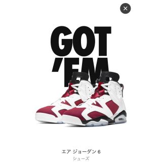 ナイキ(NIKE)のNIKE AIR JORDAN 6 CARMINE ジョーダン6カーマイン(スニーカー)