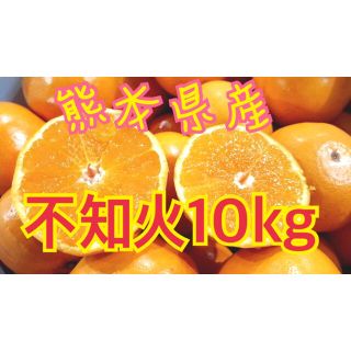 熊本県産不知火10kg(フルーツ)