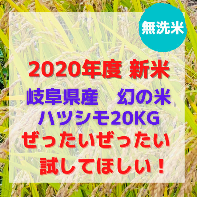 米/穀物2020年度新米　はつしも　玄米20キロ　すぐ食べられる無洗米