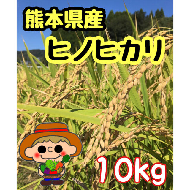 熊本県　ヒノヒカリ　10kg　米/穀物
