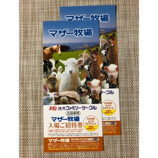 マザー牧場　入場ご招待券　2枚セット　期限3/31まで(その他)