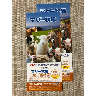 マザー牧場　入場ご招待券　2枚セット　期限3/31まで(その他)