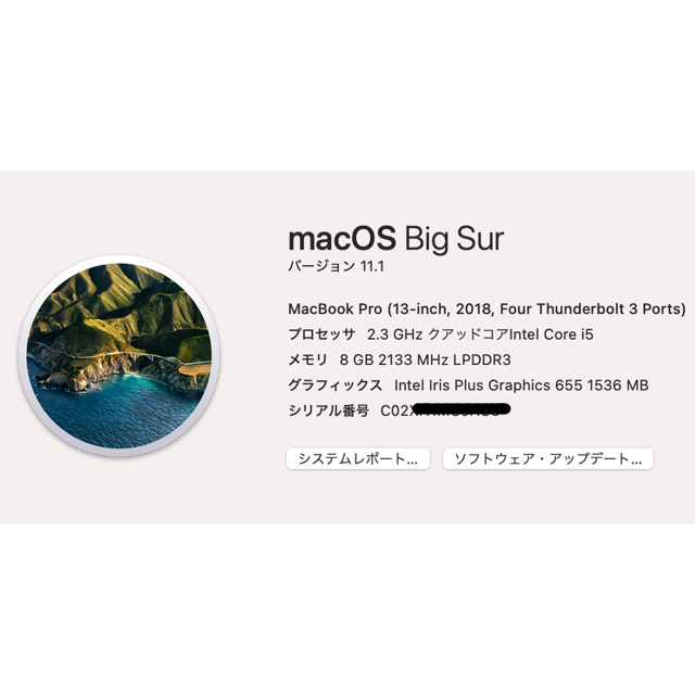 Apple APPLE MacBook Pro MACBOOK PRO MR9Q2J/A の通販 by aoi's shop｜アップルならラクマ - 特価即納
