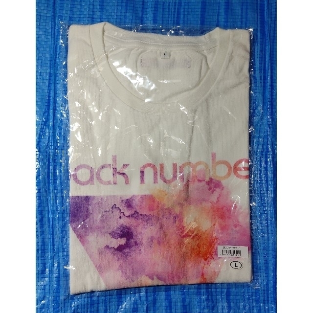 BACK NUMBER(バックナンバー)のback number 水彩グラフィックTシャツ エンタメ/ホビーのタレントグッズ(ミュージシャン)の商品写真