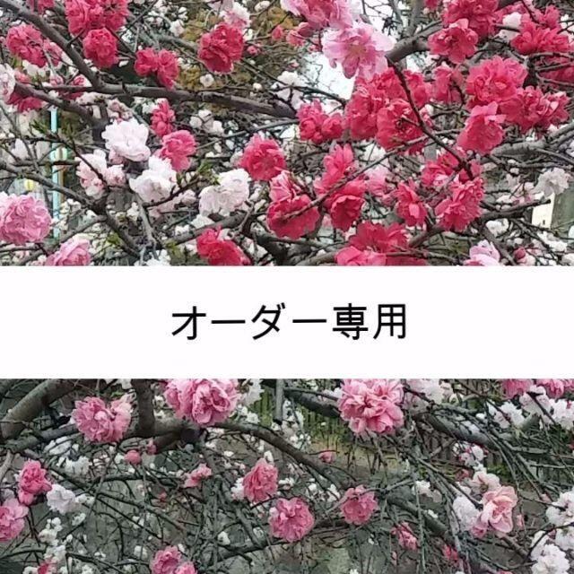 ななちゃん様々専用 ななちゃん様々専用