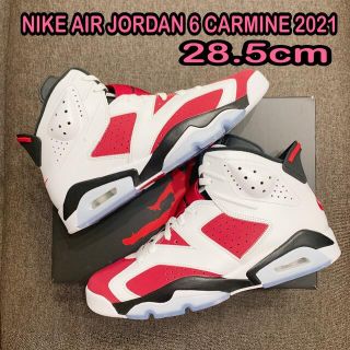 ナイキ(NIKE)の28.5cm NIKE AIR JORDAN 6 CARMINE カーマイン(スニーカー)