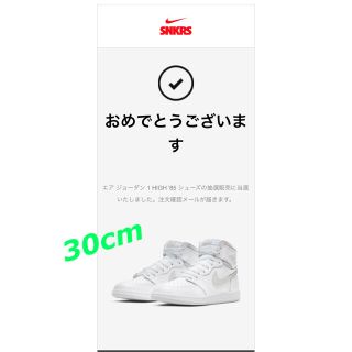 ナイキ(NIKE)の30cm NIKE AIR JORDAN 1 HIGH '85 (スニーカー)