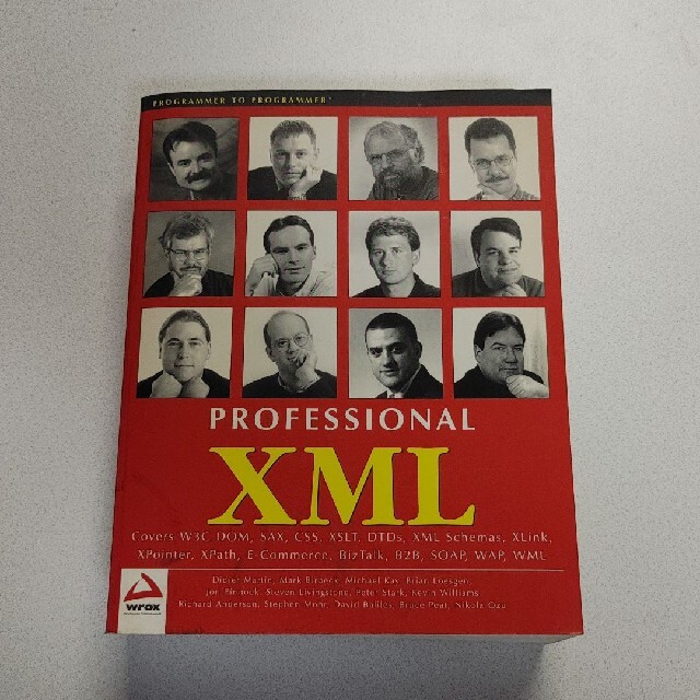 洋書 PROFESSIONAL XML 訳あり商品 8820円引き holderbat.alsace-日本