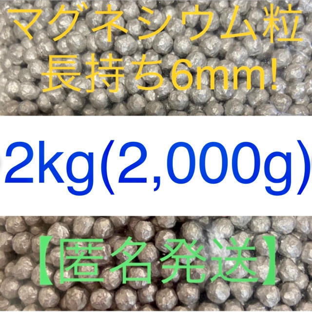 【CHIRISTINEさま専用】高純度マグネシウム2000g