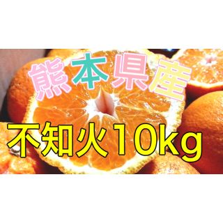 熊本県産不知火10kg(フルーツ)