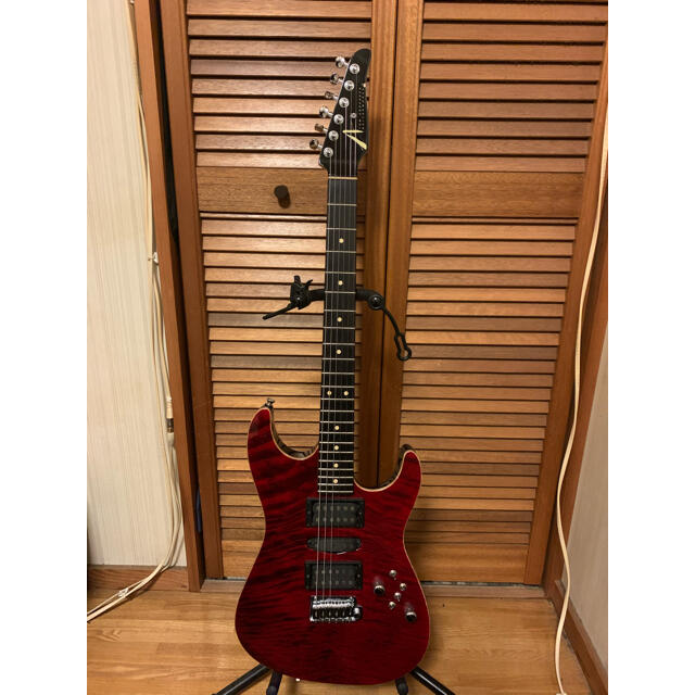 ギターTOM ANDERSON   クーポン限定価格