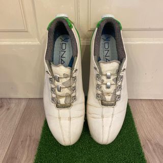 フットジョイ(FootJoy)のFootjoy フットジョイ　ゴルフシューズ　DNA 26cm(シューズ)