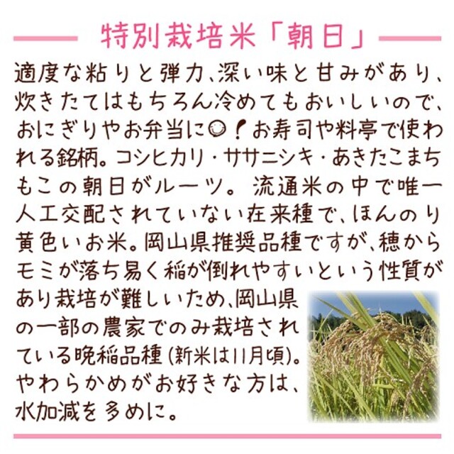 ☆令和2年新米☆岡山県の減農薬米!食べ比べセット【朝日/きぬむすめ ...