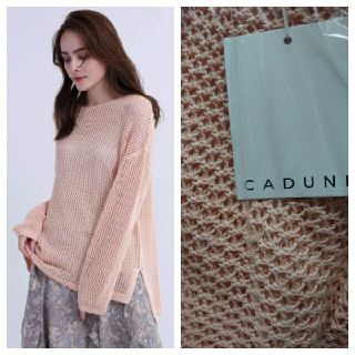 マイストラーダ(Mystrada)の完売品🍀新作新品🍀🌸CADUNE🌸ネットニット(ニット/セーター)