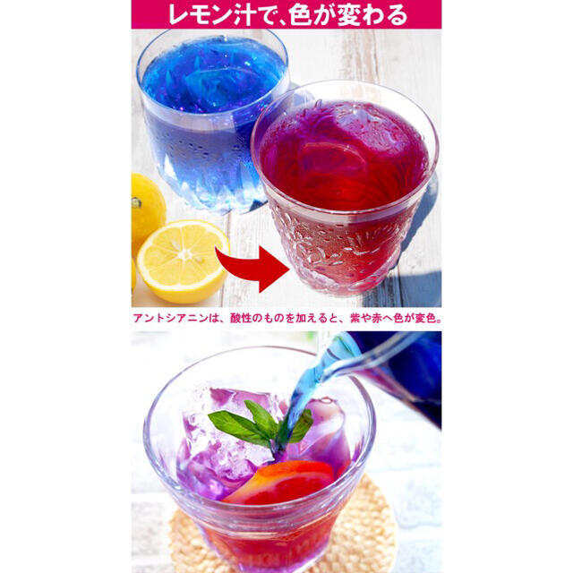 バタフライピー🫖100g 食品/飲料/酒の飲料(茶)の商品写真