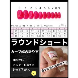 1番人気！ オーダーネイルチップ 013 aaynnail コスメ/美容のネイル(つけ爪/ネイルチップ)の商品写真