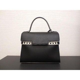 エルメス(Hermes)の【chu-chan0205様専用】限定 80万 Delvaux タンペート(ハンドバッグ)